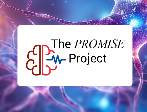 The PROMISE Project