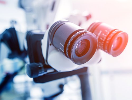 Beyond a Living Biobank: Unraveling the Transcriptomic Landscape of GEP-NENs