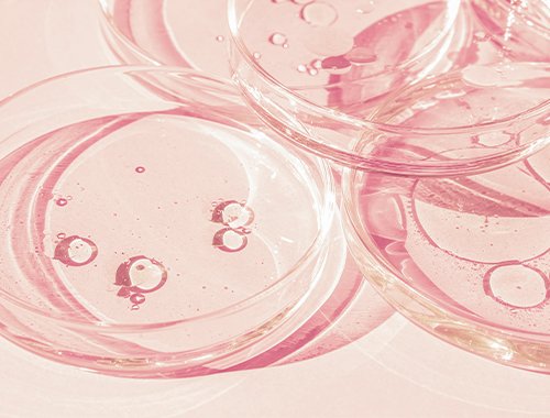 Deciphering KEAPness for Improved Immunotherapy Prediction and Treatment