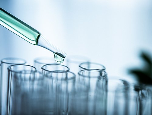 Targeting HIPK2 in Liver Fibrosis Prevention and Treatment