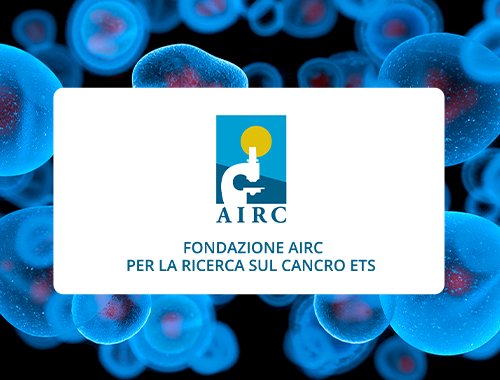 Bcl-2 Family and Immune Surveillance in Melanoma: Mechanisms and Therapy