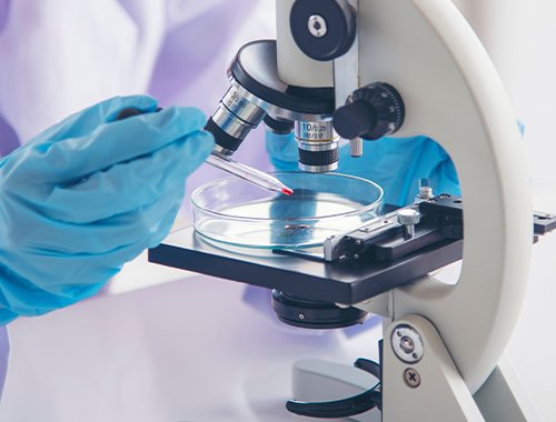 Cantharidin derived antibody drug conjugate for targeted skin cancer therapy