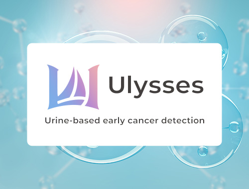 ULYSSES Project