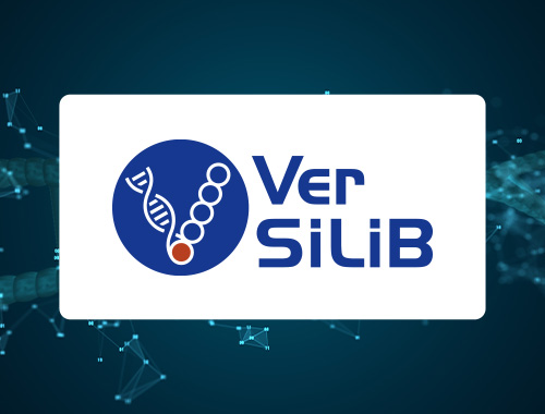 VerSiLiB Project